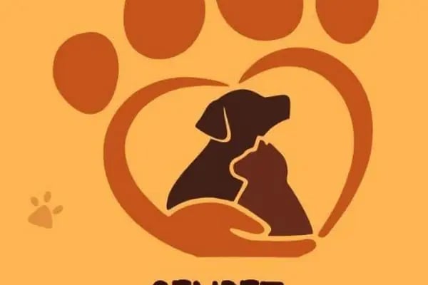 Genpet Veteriner Kliniği Selçuklu Konya - Resim 9