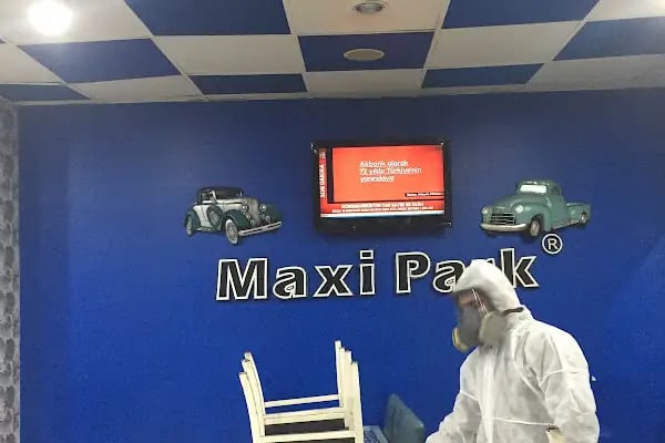 Maxi Park - Resim 17