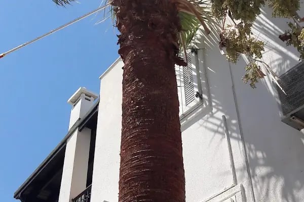 Mutluköy Sitesi - Resim 14