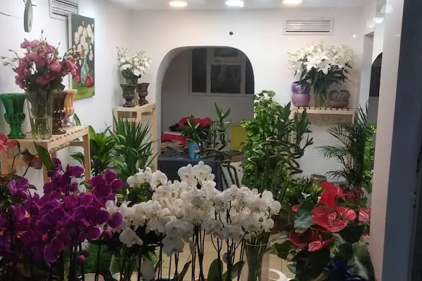 Büyükada İnci Çiçek Evi - Resim 14