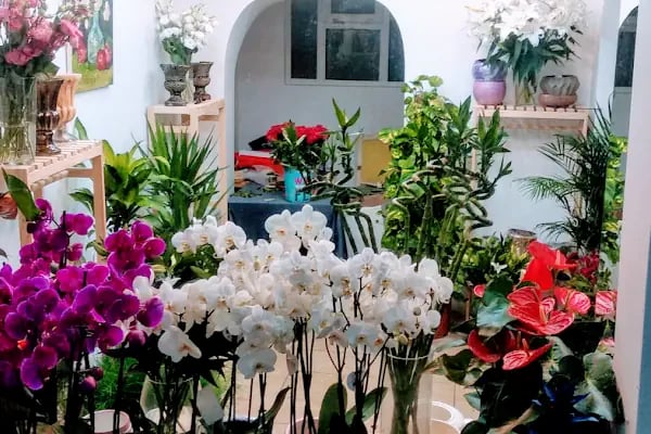 Büyükada İnci Çiçek Evi - Resim 6
