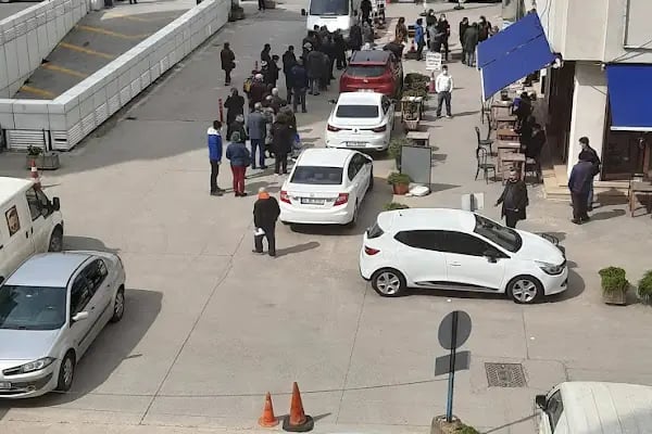 Rıhtım veraset ve harçlar vergi dairesi müdürlüğü - Resim 6