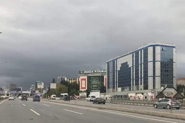 Rıhtım veraset ve harçlar vergi dairesi müdürlüğü - Resim 18