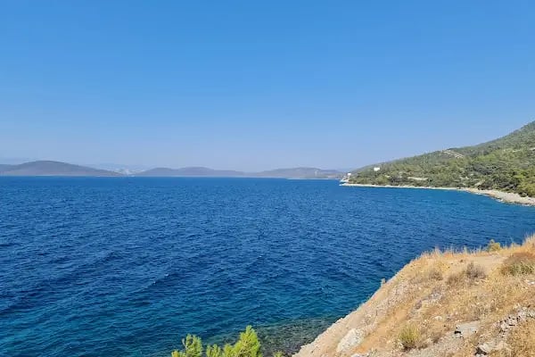 Eskici Bodrum - Resim 3