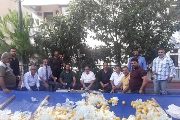 DAYILI DÜĞÜN SALONU - Resim 5