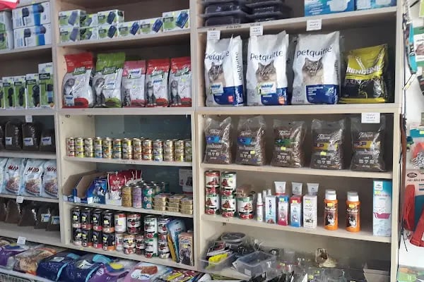 ÇINAR PETSHOP - Resim 4