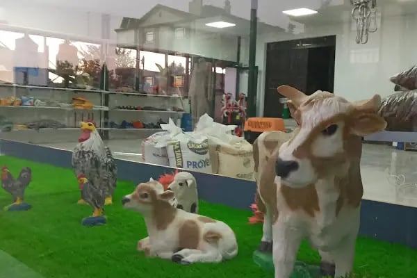 CP Yem Bayisi - Ayan Tarım ve Hayvancılık Marketi - Resim 9