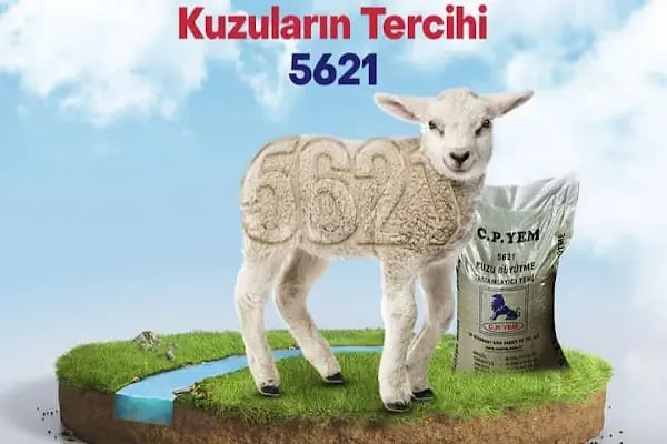CP Yem Bayisi - Ayan Tarım ve Hayvancılık Marketi - Resim 17