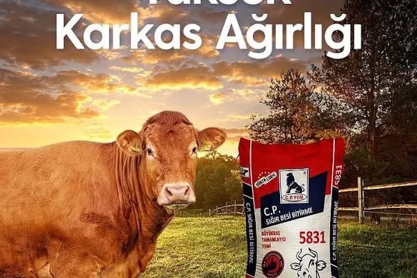 CP Yem Bayisi - Ayan Tarım ve Hayvancılık Marketi - Resim 14