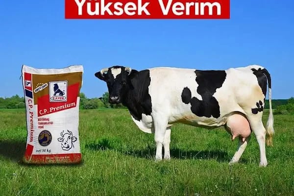 CP Yem Bayisi - Ayan Tarım ve Hayvancılık Marketi - Resim 16