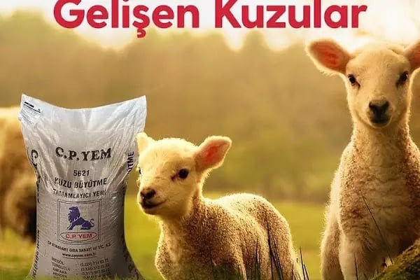 CP Yem Bayisi - Ayan Tarım ve Hayvancılık Marketi - Resim 13