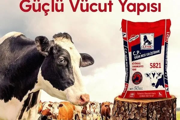 CP Yem Bayisi - Ayan Tarım ve Hayvancılık Marketi - Resim 18