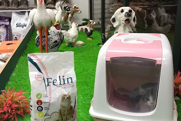 CP Yem Bayisi - Ayan Tarım ve Hayvancılık Marketi - Resim 3