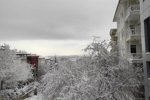 Litvanya Büyükelçiliği - Resim 2