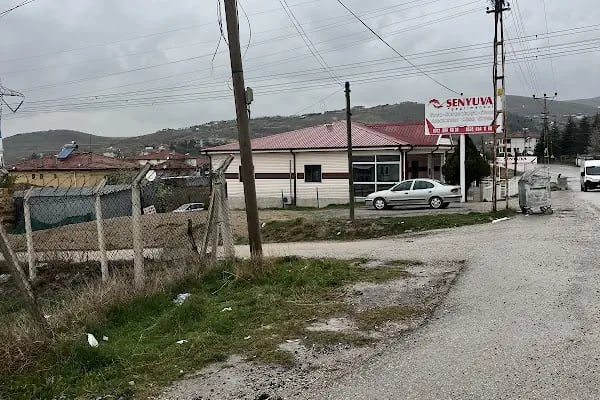 Angora binicilik Kulübü - Resim 6