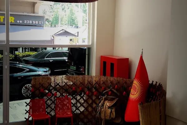 Consulate General of Kyrgyz Republic in Istanbul - Resim 10