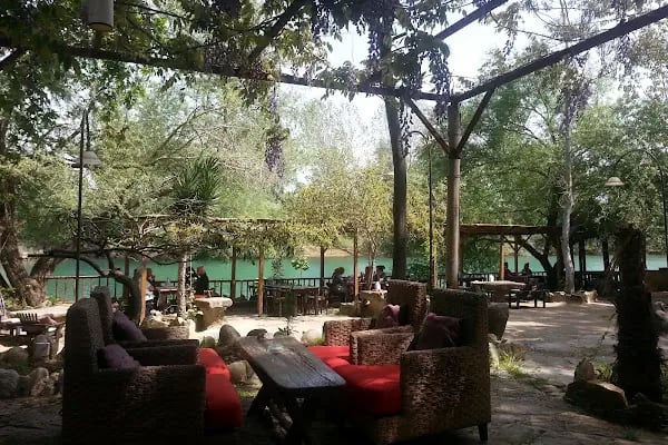 Villa Lapin Hotel - Resim 3