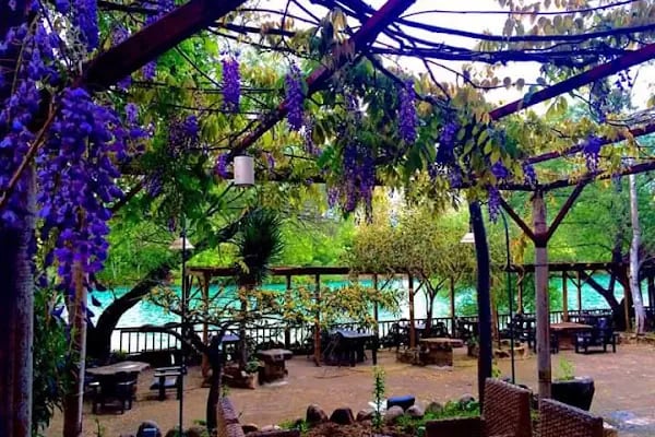 Villa Lapin Hotel - Resim 2