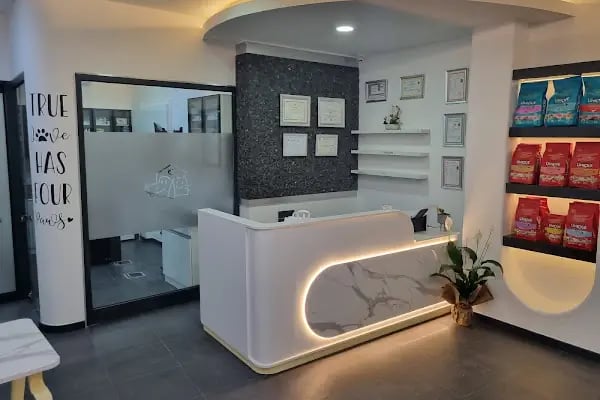 Vetsmile Veteriner Kliniği - Resim 3