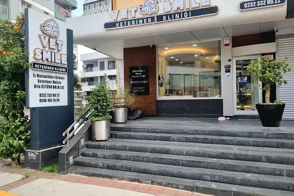Vetsmile Veteriner Kliniği - Resim 1