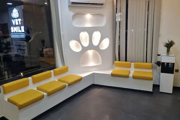Vetsmile Veteriner Kliniği - Resim 5