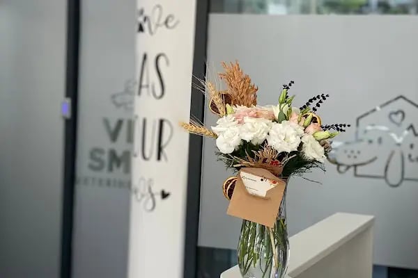 Vetsmile Veteriner Kliniği - Resim 4
