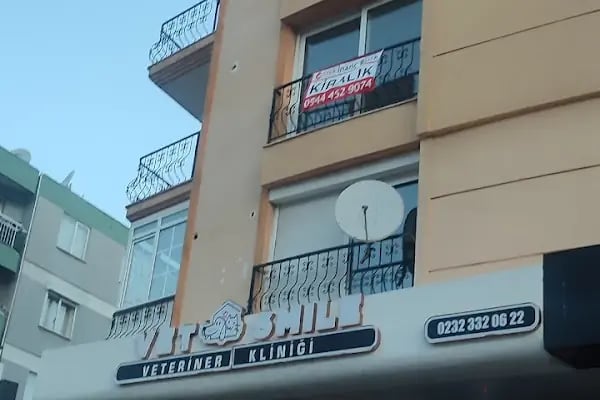 Vetsmile Veteriner Kliniği - Resim 10