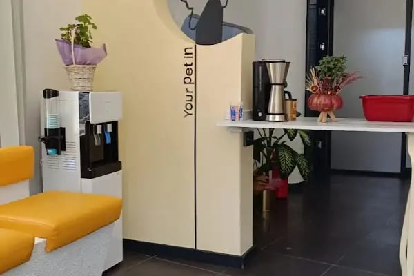 Vetsmile Veteriner Kliniği - Resim 8