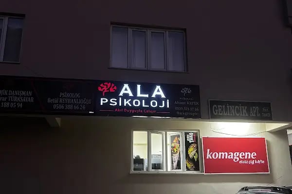 Kahramanmaraş Ala Psikoloji / EMDR - Çift - Yetişkin - Ergen ve Oyun Terapisi - Psikolojik Danışma Merkezi - Resim 9