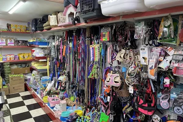 gökova pet shop - Resim 4
