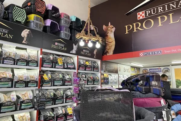 gökova pet shop - Resim 8