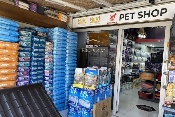 gökova pet shop - Resim 11