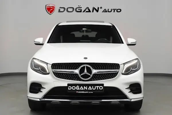 Doğan - Resim 7