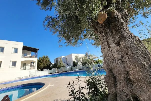 Lale Tepe Apartments - Resim 4