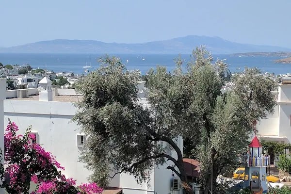 Lale Tepe Apartments - Resim 7