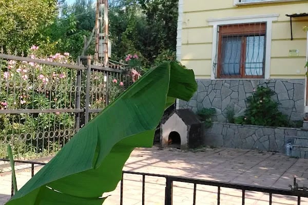 Villa Narlıca - Resim 14