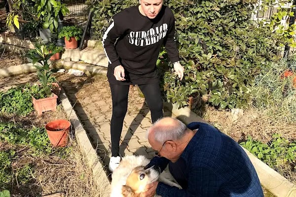 Doğa’m Veteriner Kliniği - Resim 4