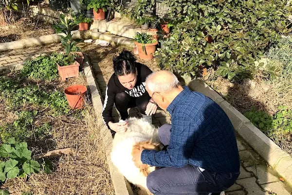 Doğa’m Veteriner Kliniği - Resim 18