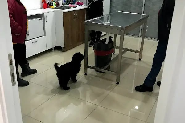 Doğa’m Veteriner Kliniği - Resim 15
