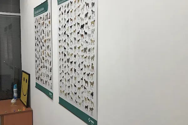 Doğa’m Veteriner Kliniği - Resim 19
