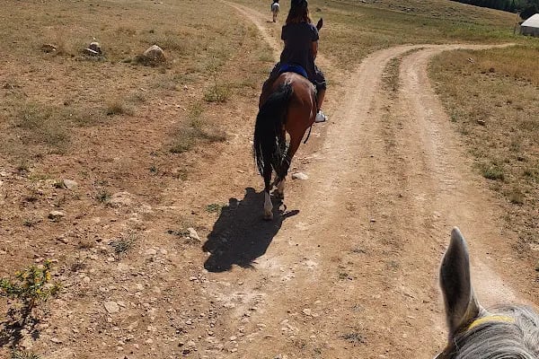 İncek Atli Bahce - Resim 5