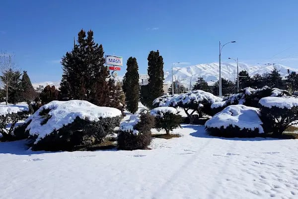 Malatya Maşti - Resim 20