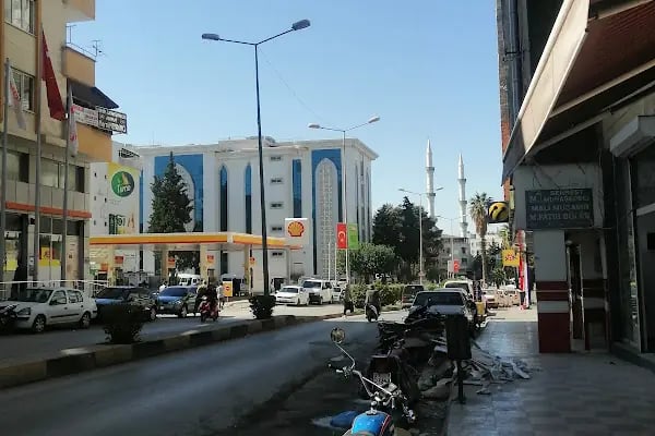 Nizip Hükümet Konağı - Resim 6