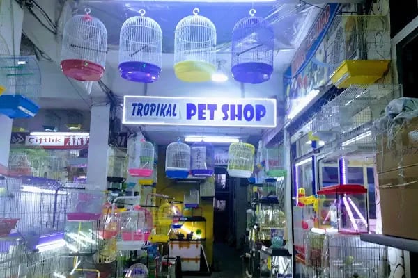 Tropikal Akvaryum - Resim 2