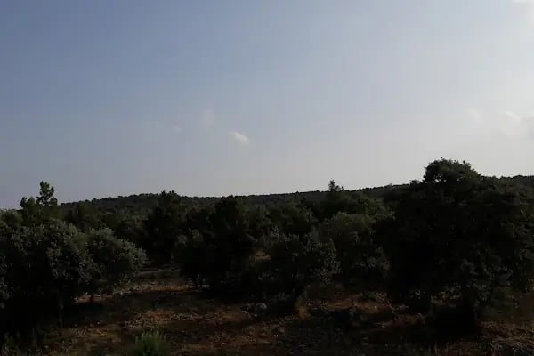 Akören Jandarma Hatıra Ormanı - Resim 4