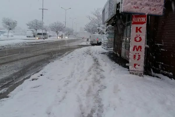 Nur-yak kömür ve odun ticareti - Resim 16