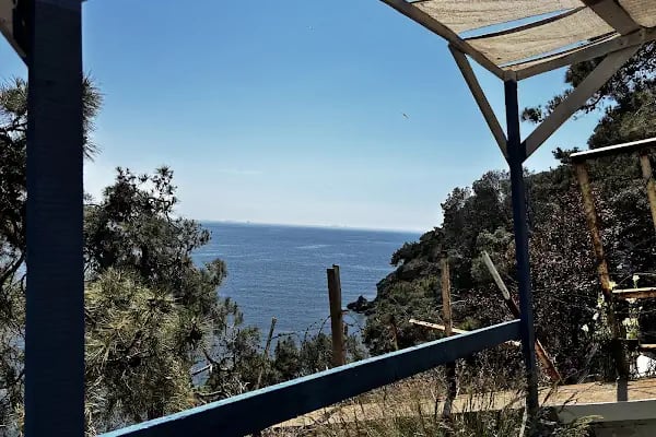Palmiye kafe - Resim 12