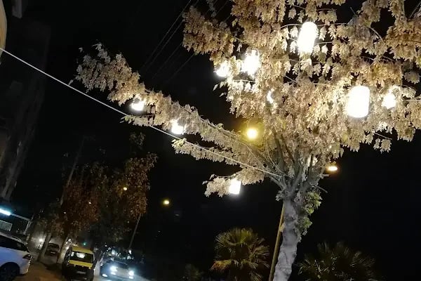 Kristal Kokoreç Bergama - Resim 17
