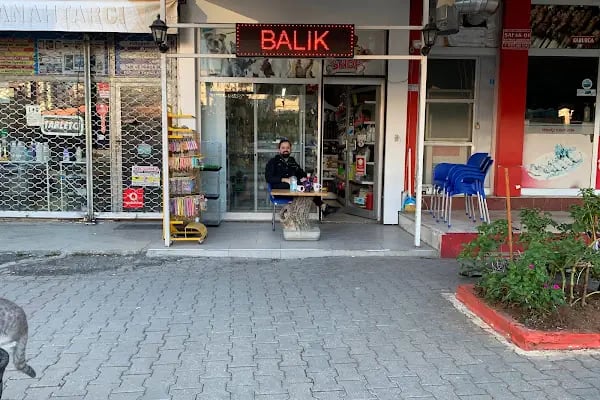 Pınar Petshop - Resim 2