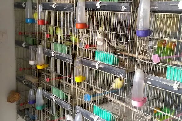Pınar Petshop - Resim 20